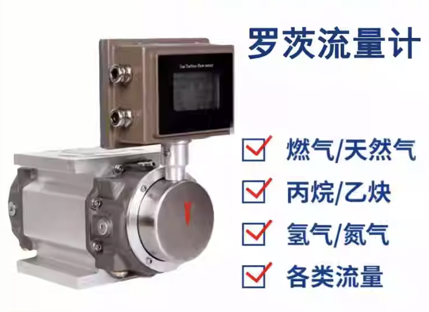 DN80氣體羅茨流量計