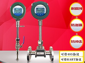 DN300熱式氣體質(zhì)量流量計(jì)